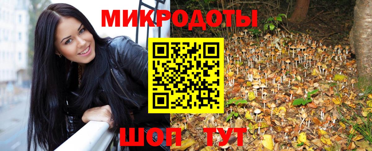 Галлюциногенные грибы Psilocybe  купить наркоту  Ипатово  Вход с VPN 